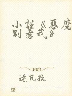 小说《恶魔少爷别惹我》