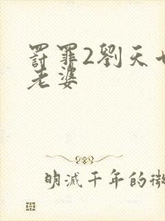 罚罪2刘天也的老婆