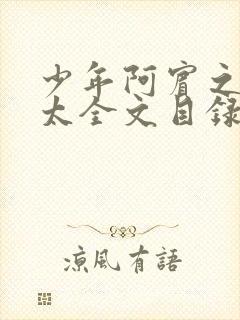 少年阿宾之房东太全文目录