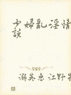 少妇乱淫情史小说封面