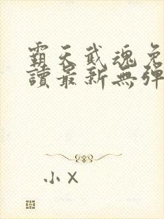 霸天武魂免费阅读最新无弹窗