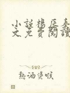 小说杨辰秦惜全文免费阅读