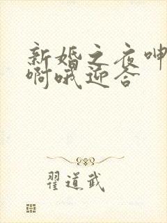 新婚之夜呻吟嗯啊哦迎合