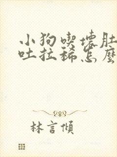 小狗吃坏肚子呕吐拉稀怎么办