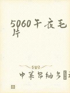 5060午夜毛片