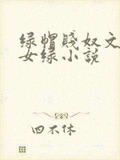 绿帽贱奴文高h女绿小说封面