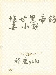 绝世黑帝的呆萌妻 小说封面