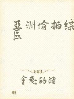 亚洲偷拍综合图区