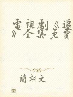 电视剧《追击者》全集免费播放