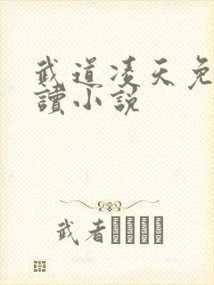 武道凌天免费阅读小说