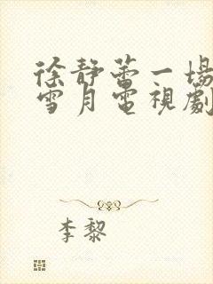 徐静蕾一场风花雪月电视剧封面