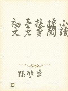 袖手扶摇小说全文免费阅读笔趣阁