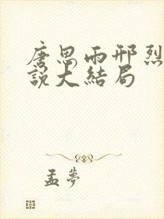 唐思雨邢烈寒小说大结局封面