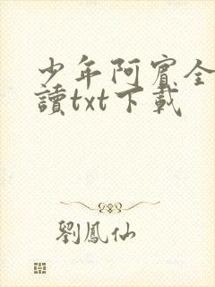 少年阿宾全文阅读txt下载