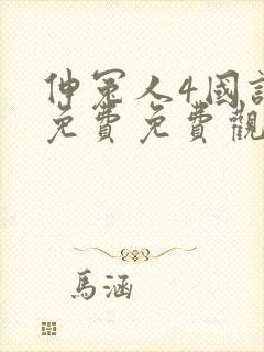 伸冤人4国语版免费免费观看