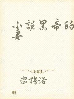 小说黑帝的呆萌妻