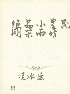 绝品小农民赵小刚宋雨晴封面