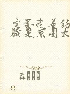 完蛋我养的小白脸是京圈太子爷免费