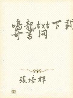 鸣龙txt下载奇书网