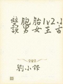 双胞胎1v2小说男女主古言封面