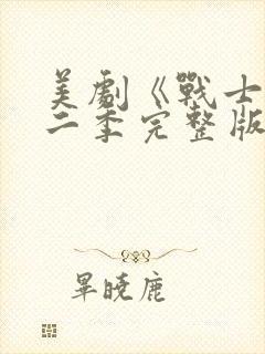 美剧《战士》第二季完整版在线观看