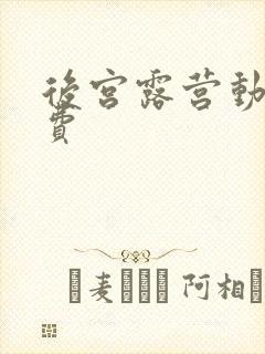 后宫露营动漫免费