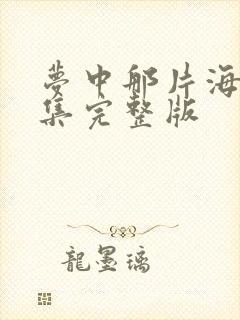 梦中那片海40集完整版