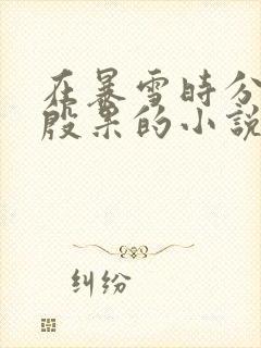 在暴雪时分截胡殷果的小说