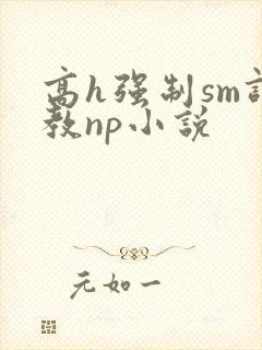 高h强制sm调教np小说