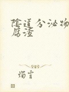 阴道分泌物 豆腐渣