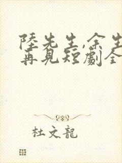 陆先生,余生不再见短剧全集