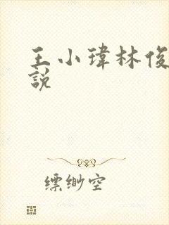 王小玮林俊逸小说封面