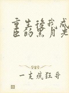 重生后我成了权臣的黑月光txt