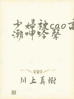 少妇被cao高潮呻吟声