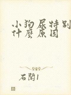 小狗尿特别黄是什么原因