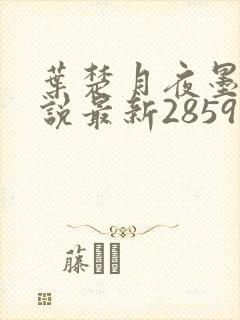 叶楚月夜墨寒小说最新2859