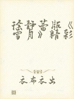 徐静蕾版《风花雪月》精彩片段