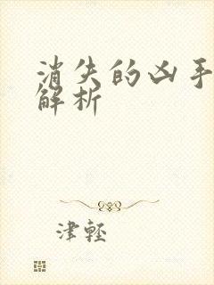 消失的凶手结局解析封面