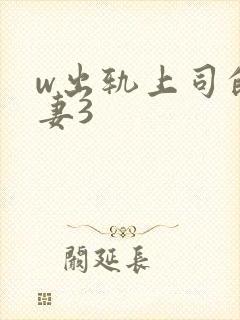 w出轨上司的人妻3封面