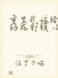 重生我嫁给渣男的死对头 小说