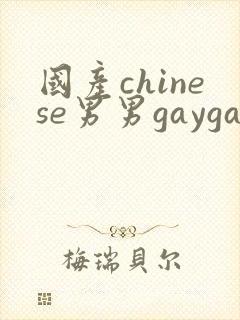 国产chinese男男gaygay网站封面