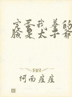 完蛋我养的小白脸是太子爷