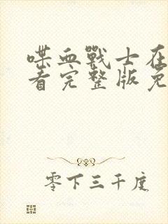 喋血战士在线观看完整版免费高清