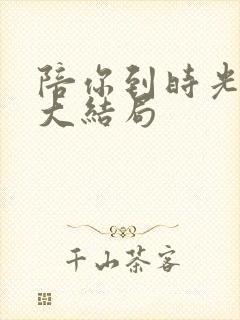 陪你到时光尽头大结局封面