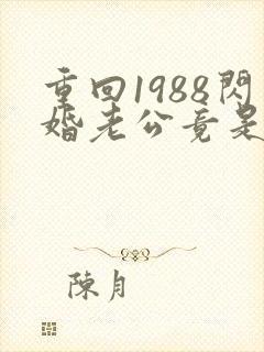 重回1988闪婚老公竟是军区大佬免费阅读全文封面