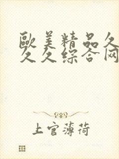 欧美精品久久久久久综合网封面