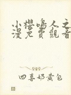 小樱鸣人之夜动漫免费观看全集