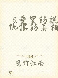 《爱里的谎言,仇恨的真相》