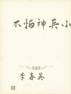 不怕神兵小将封面
