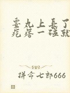 睾丸上长了个硬疙瘩一碰就疼